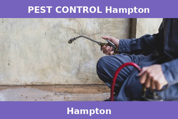 PEST CONTROL Hampton